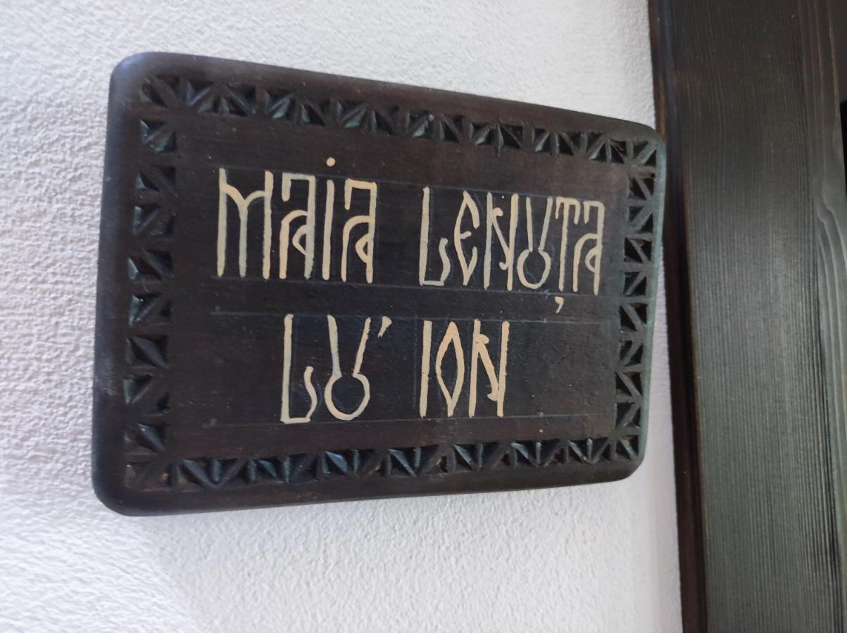 Ograda Bunicilor Βίλα Baia de Fier Εξωτερικό φωτογραφία