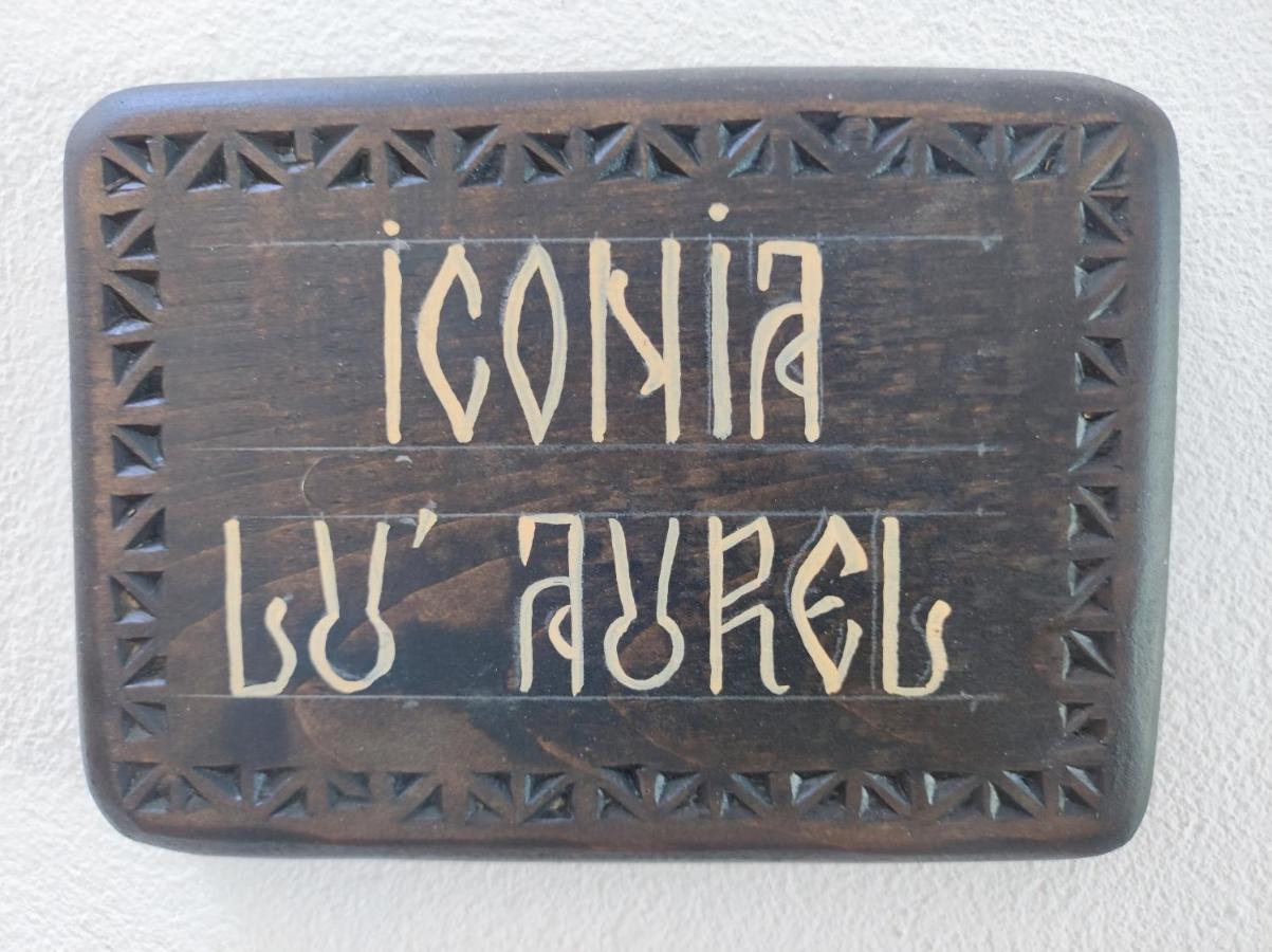 Ograda Bunicilor Βίλα Baia de Fier Εξωτερικό φωτογραφία